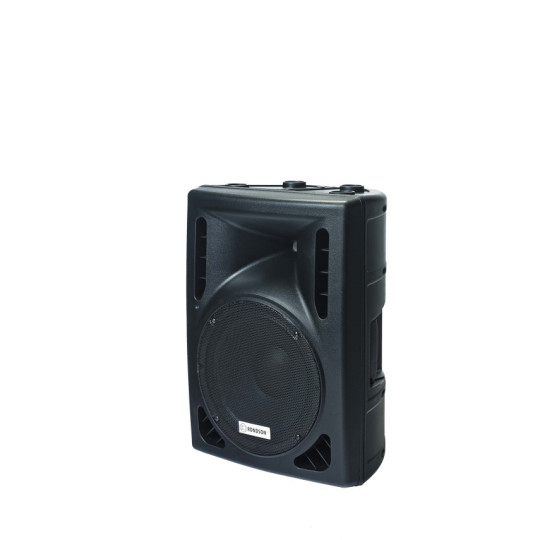 Enceintes de puissance amplifiée 80W