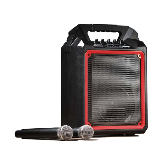 Enceinte amplifiée 100W avec 2 micros HF et USB
